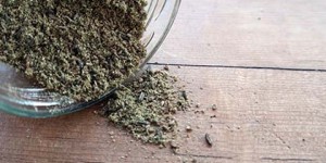 Beitragsbild des Blogbeitrags Brotgewürz …für Roggen Roli und Breadley…