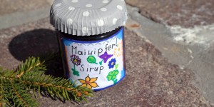 Beitragsbild des Blogbeitrags Maiwipferlsirup …der frühe Vogel…