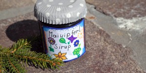 Beitragsbild des Blogbeitrags Maiwipferlsirup …der frühe Vogel… 