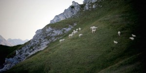 Beitragsbild des Blogbeitrags Tirol. Eine Landvermessung in 111 Begriffen …Booklove… 
