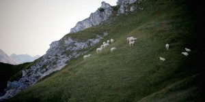 Beitragsbild des Blogbeitrags Tirol. Eine Landvermessung in 111 Begriffen …Booklove…