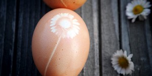 Beitragsbild des Blogbeitrags Dip Dye Ostereier mit Gänseblümchen-Print