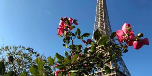 Beitragsbild des Blogbeitrags Paris, die Stadt der Liebe
