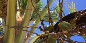 Beitragsbild des Blogbeitrags 10 Reisebilder – Blogparade