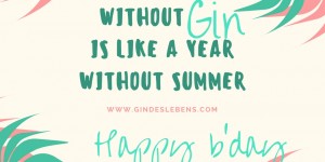 Beitragsbild des Blogbeitrags Unsere Rückblick – ein Jahr Gin des Lebens und wir sagen danke! 