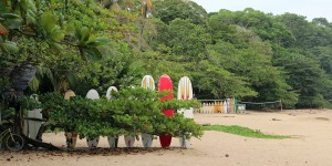 Beitragsbild des Blogbeitrags Bananen, Dschungel und die Karibikküste Costa Ricas 