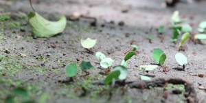 Beitragsbild des Blogbeitrags Unser Beitrag zur Foto-Challenge Buchtitel
