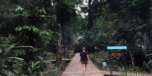 Beitragsbild des Blogbeitrags Abenteuer Glamping im Dschungel Costa Ricas 