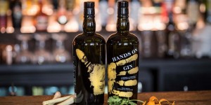 Beitragsbild des Blogbeitrags Gölles HANDS ON Gin – vom Rum zum Gin