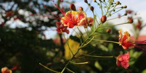 Beitragsbild des Blogbeitrags Tipp Fotobuch & Fotokalender – 365 Tage Freude