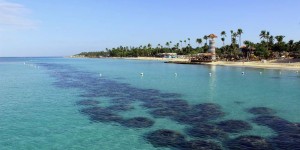 Beitragsbild des Blogbeitrags Dominikanische Republik Karibikfeeling in Bayahibe 