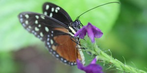 Beitragsbild des Blogbeitrags Fotoparade 2017 – fotografische Höhepunkte 2. Halbjahr 