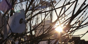 Beitragsbild des Blogbeitrags Blogparade: Tipps für Tallinn und Helsinki