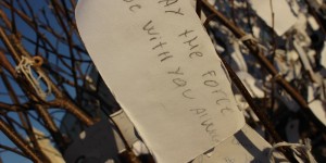 Beitragsbild des Blogbeitrags Zwei Jahre Gin des Lebens