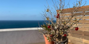 Beitragsbild des Blogbeitrags Unsere 13 Reisehighlights 2018