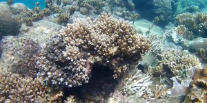 Beitragsbild des Blogbeitrags Action Cam Test – die günstige HD Action Kamera Alternative im Unterwasser Test