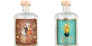 Beitragsbild des Blogbeitrags Wien Gin Klassik und Kilmt Wien Gin der Kesselbrüder