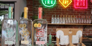 Beitragsbild des Blogbeitrags Pienaar & Son Gin Destillerie – ein ginvoller Gruß aus Kapstadt