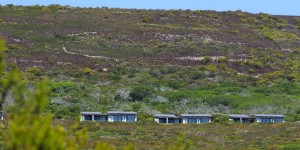 Beitragsbild des Blogbeitrags Grootbos Private Nature Reserve – Luxuslodge zwischen Kapstadt & Garden Route 