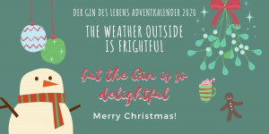 Beitragsbild des Blogbeitrags Der Gin des Lebens Adventkalender 2020