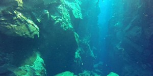 Beitragsbild des Blogbeitrags Island – Silfra Schnorcheln zwischen zwei Kontinenten