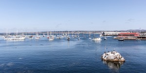 Beitragsbild des Blogbeitrags Monterey und Whale Watching in der Monterey Bay
