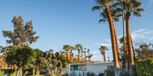 Beitragsbild des Blogbeitrags Die schönsten Reisefotos – Palm Springs Bilder