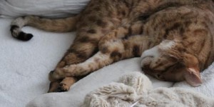 Beitragsbild des Blogbeitrags Impressionen der Woche