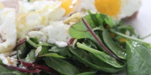 Beitragsbild des Blogbeitrags Schnell. Proteinreich. Lecker.