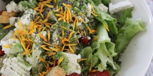 Beitragsbild des Blogbeitrags Impressionen der Woche