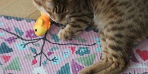 Beitragsbild des Blogbeitrags Impressionen der Woche
