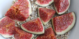 Beitragsbild des Blogbeitrags Impressionen der Woche