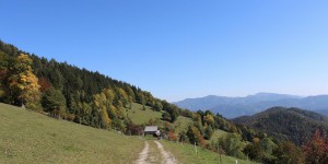 Beitragsbild des Blogbeitrags Impressionen der Woche