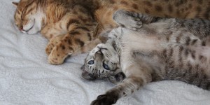 Beitragsbild des Blogbeitrags Impressionen der Woche