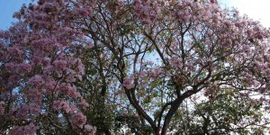 Beitragsbild des Blogbeitrags Leben mit Adenomyose & Endometriose
