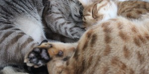 Beitragsbild des Blogbeitrags Impressionen der Woche
