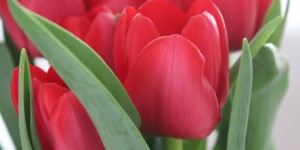 Beitragsbild des Blogbeitrags Impressionen der Woche