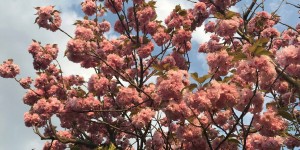 Beitragsbild des Blogbeitrags Impressionen der Woche
