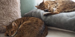 Beitragsbild des Blogbeitrags Impressionen der Woche
