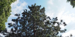 Beitragsbild des Blogbeitrags Impressionen der Woche