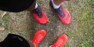 Beitragsbild des Blogbeitrags Impressionen der Woche