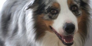 Beitragsbild des Blogbeitrags Impressionen der Woche