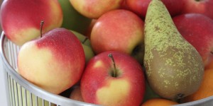 Beitragsbild des Blogbeitrags Impressionen der Woche
