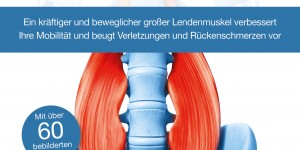 Beitragsbild des Blogbeitrags Training für den Psoas 