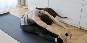 Beitragsbild des Blogbeitrags Tabata Montag