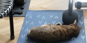Beitragsbild des Blogbeitrags Tipps gegen Muskelkater