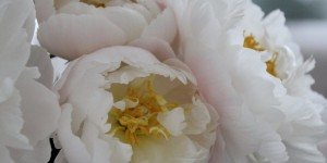 Beitragsbild des Blogbeitrags Übung der Woche: Mehr Selbstmitgefühl