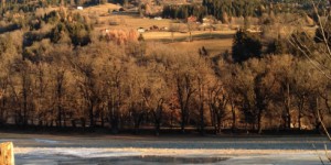 Beitragsbild des Blogbeitrags Impressionen der Woche