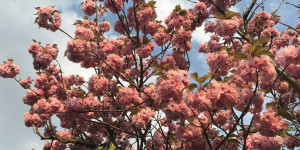 Beitragsbild des Blogbeitrags 5 Tipps gegen Frühjahrsmüdigkeit
