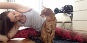 Beitragsbild des Blogbeitrags Diego – Der Yoga Kater